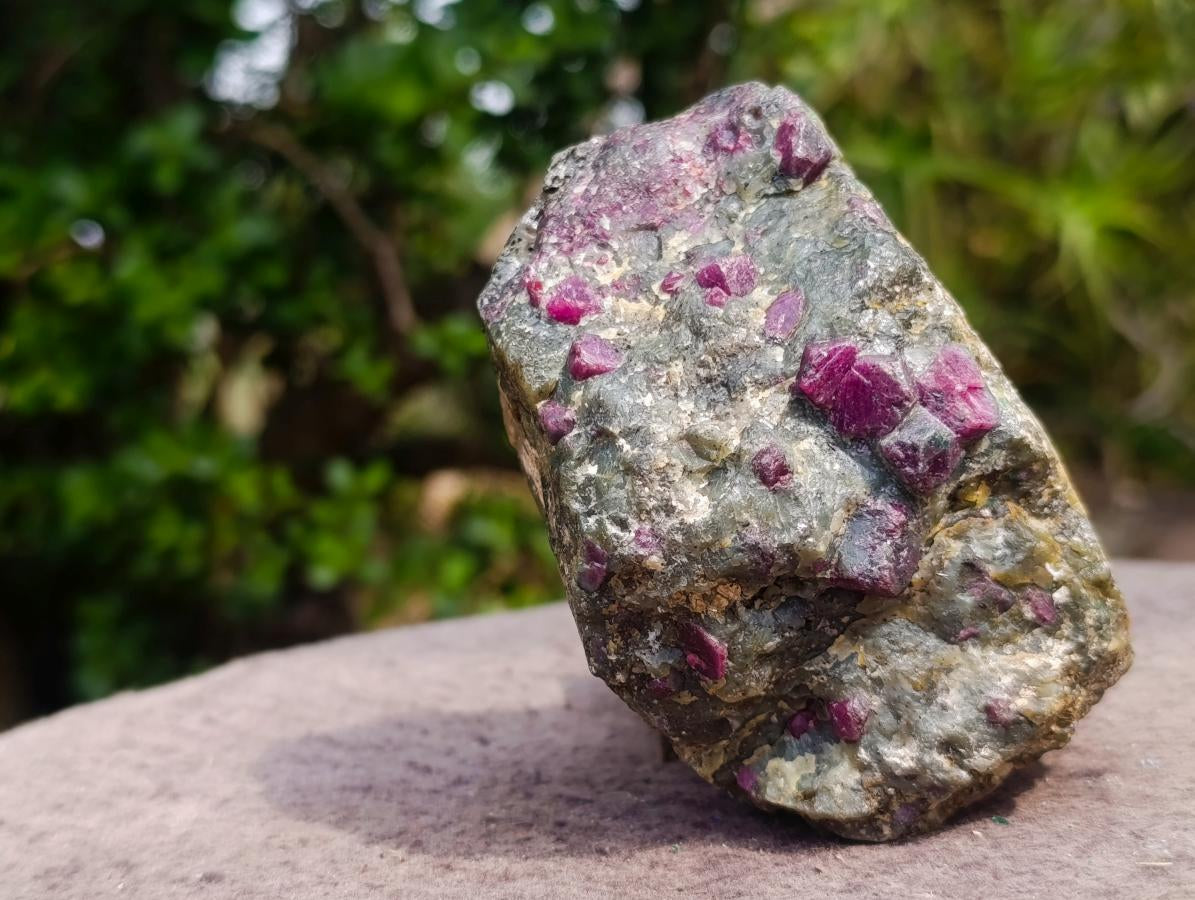 Natural Rare Hot Pink Ruby Crystals in a Zoisite and Biotite Mica Schist x 1 From Mozambique