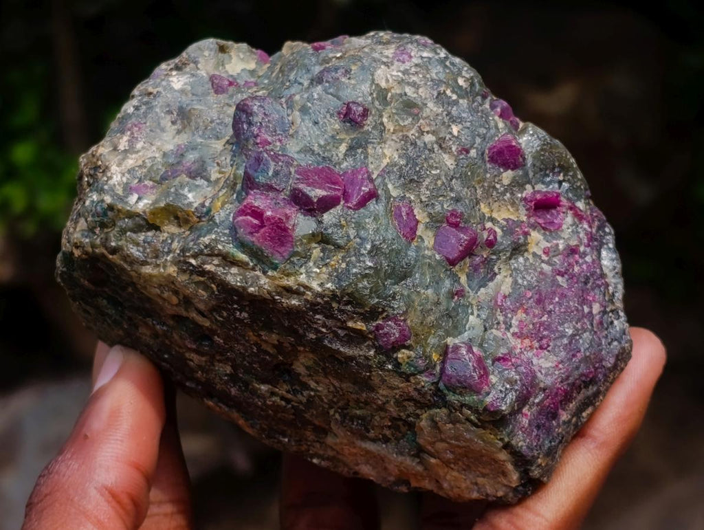 Natural Rare Hot Pink Ruby Crystals in a Zoisite and Biotite Mica Schist x 1 From Mozambique