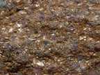 Natural Rare Hot Pink Ruby Crystals in a Zoisite and Biotite Mica Schist x 1 From Mozambique