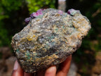 Natural Rare Hot Pink Ruby Crystals in a Zoisite and Biotite Mica Schist x 1 From Mozambique