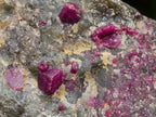 Natural Rare Hot Pink Ruby Crystals in a Zoisite and Biotite Mica Schist x 1 From Mozambique
