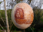 Hand Made Etched and Painted Tribal Ostrich Egg with a Brass Top and Bottom x 1 From South Africa