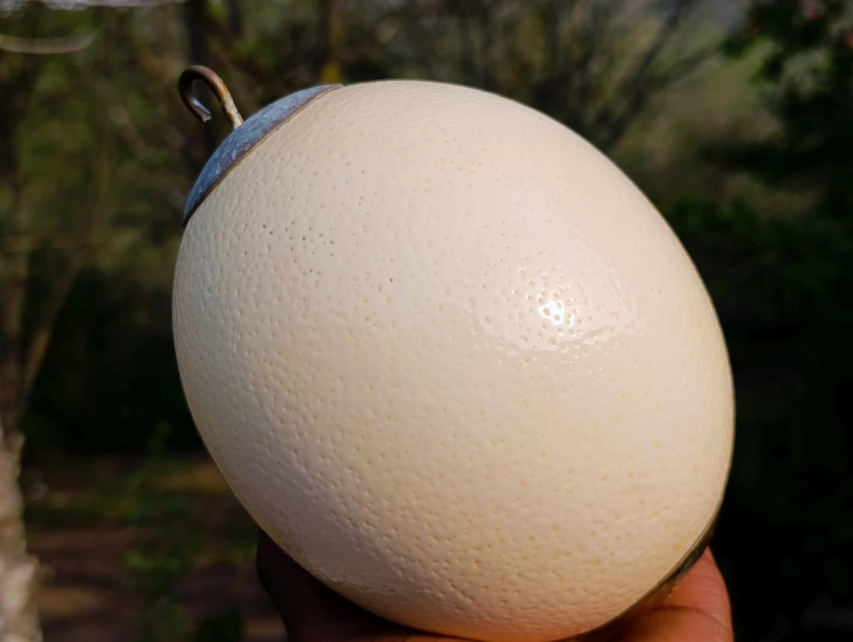 Hand Made Etched and Painted Tribal Ostrich Egg with a Brass Top and Bottom x 1 From South Africa
