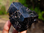 Natural Shiny Black Schorl Mercedes Star Terminated Crystal x 1 From Erongo, Namibia