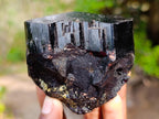 Natural Shiny Black Schorl Mercedes Star Terminated Crystal x 1 From Erongo, Namibia
