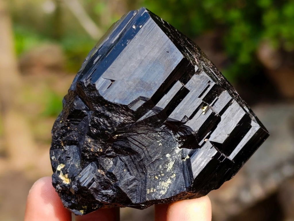 Natural Shiny Black Schorl Mercedes Star Terminated Crystal x 1 From Erongo, Namibia