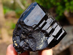 Natural Shiny Black Schorl Mercedes Star Terminated Crystal x 1 From Erongo, Namibia