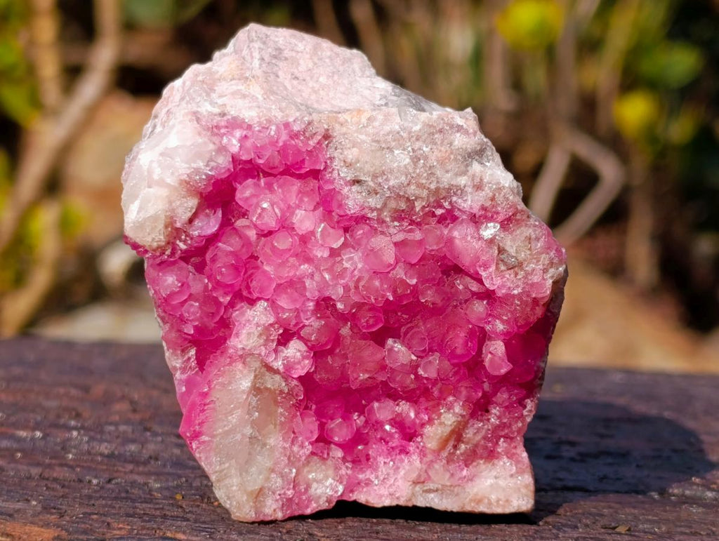Natural Hot Pink Gemmy Spherocobaltite Specimen x 1 From Mashamba West Mine, Congo