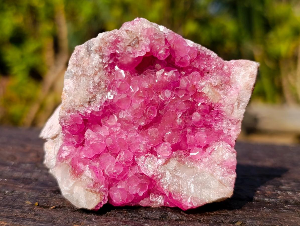 Natural Hot Pink Gemmy Spherocobaltite Specimen x 1 From Mashamba West Mine, Congo