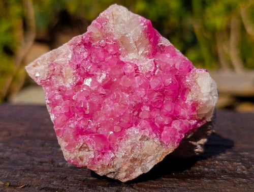 Natural Hot Pink Gemmy Spherocobaltite Specimen x 1 From Mashamba West Mine, Congo