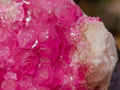 Natural Hot Pink Gemmy Spherocobaltite Specimen x 1 From Mashamba West Mine, Congo