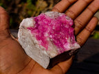 Natural Hot Pink Gemmy Spherocobaltite Specimen x 1 From Mashamba West Mine, Congo