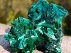 Natural Silky Malachite Fan and Rosette Crystalline Cabinet Sized Specimen x 1 From Kasompe, Congo