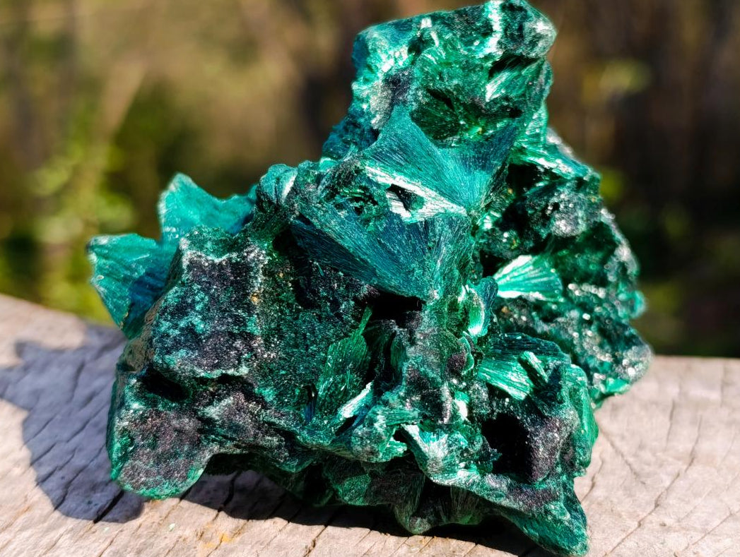 Natural Silky Malachite Fan and Rosette Crystalline Cabinet Sized Specimen x 1 From Kasompe, Congo