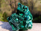Natural Silky Malachite Fan and Rosette Crystalline Cabinet Sized Specimen x 1 From Kasompe, Congo