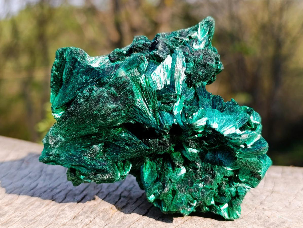 Natural Silky Malachite Fan and Rosette Crystalline Cabinet Sized Specimen x 1 From Kasompe, Congo