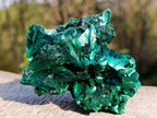 Natural Silky Malachite Fan and Rosette Crystalline Cabinet Sized Specimen x 1 From Kasompe, Congo
