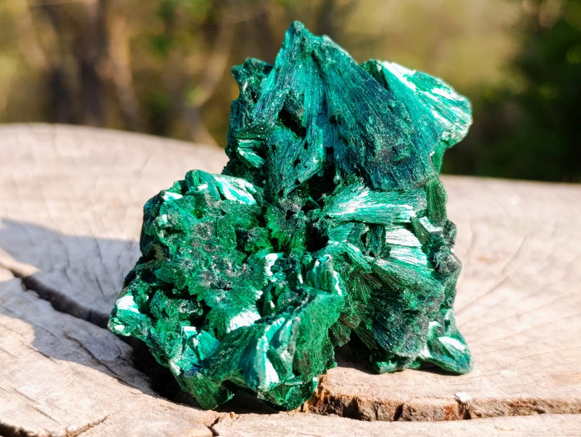 Natural Silky Malachite Fan and Rosette Crystalline Cabinet Sized Specimen x 1 From Kasompe, Congo