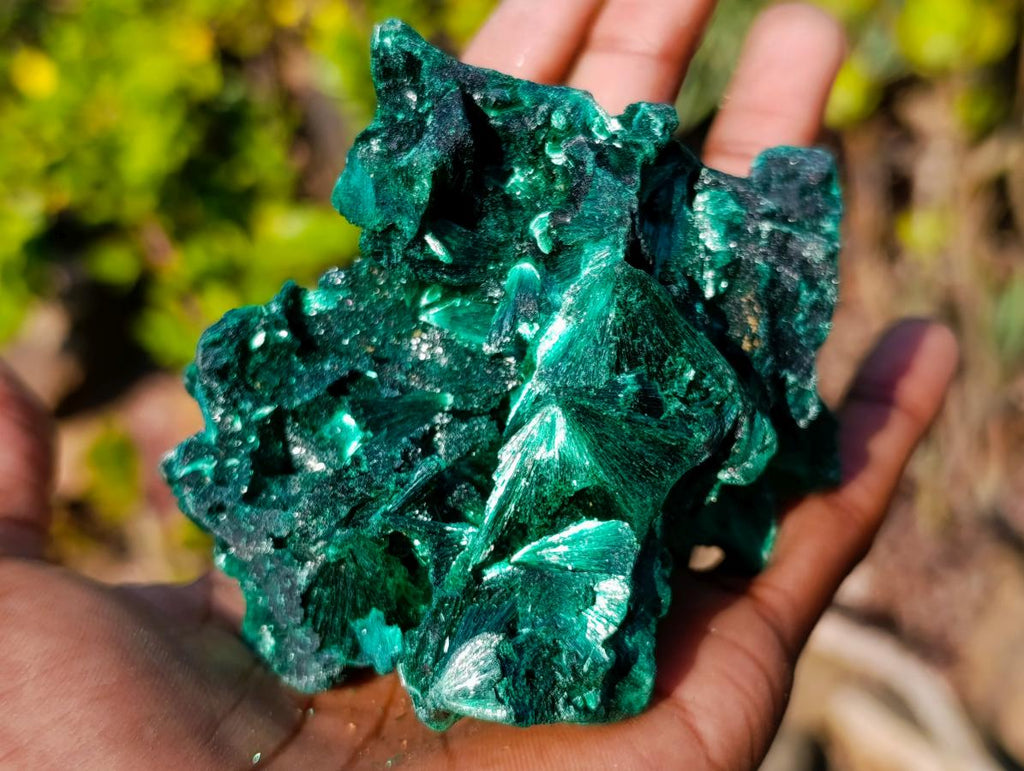 Natural Silky Malachite Fan and Rosette Crystalline Cabinet Sized Specimen x 1 From Kasompe, Congo