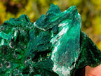 Natural Silky Malachite Fan and Rosette Crystalline Cabinet Sized Specimen x 1 From Kasompe, Congo