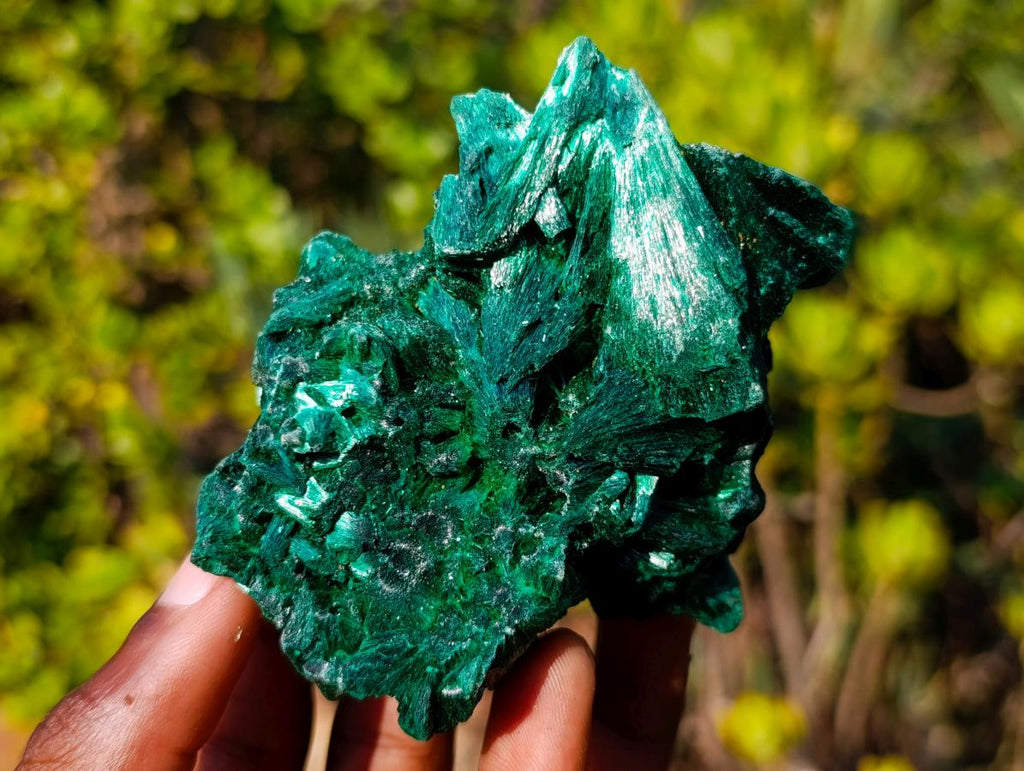 Natural Silky Malachite Fan and Rosette Crystalline Cabinet Sized Specimen x 1 From Kasompe, Congo