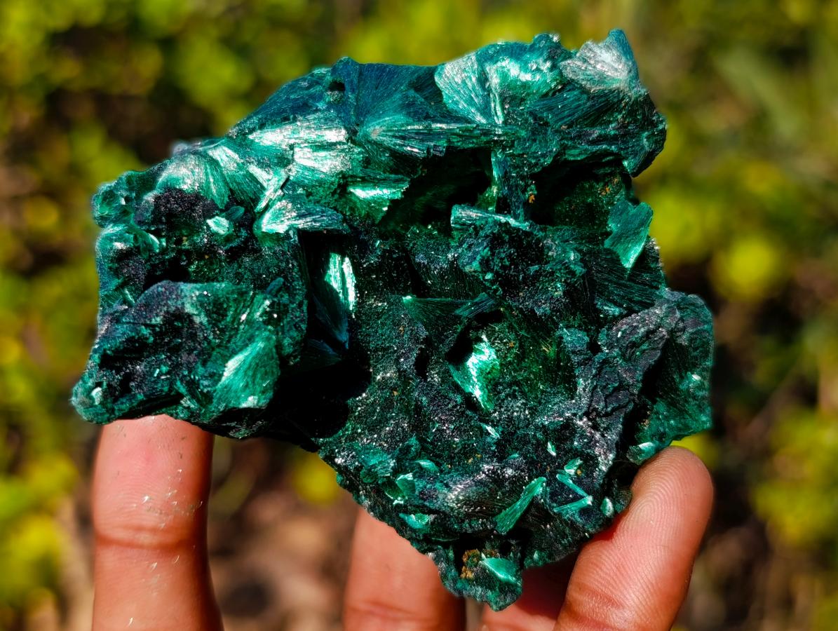 Natural Silky Malachite Fan and Rosette Crystalline Cabinet Sized Specimen x 1 From Kasompe, Congo
