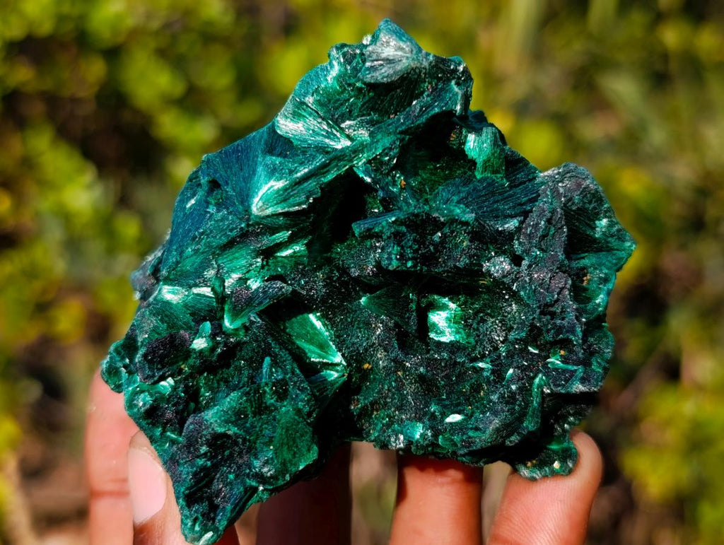Natural Silky Malachite Fan and Rosette Crystalline Cabinet Sized Specimen x 1 From Kasompe, Congo