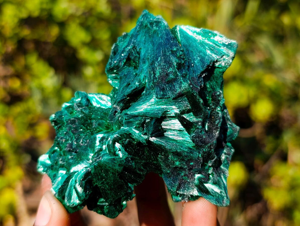 Natural Silky Malachite Fan and Rosette Crystalline Cabinet Sized Specimen x 1 From Kasompe, Congo