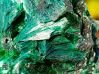 Natural Silky Malachite Fan and Rosette Crystalline Cabinet Sized Specimen x 1 From Kasompe, Congo