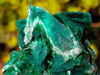 Natural Silky Malachite Fan and Rosette Crystalline Cabinet Sized Specimen x 1 From Kasompe, Congo