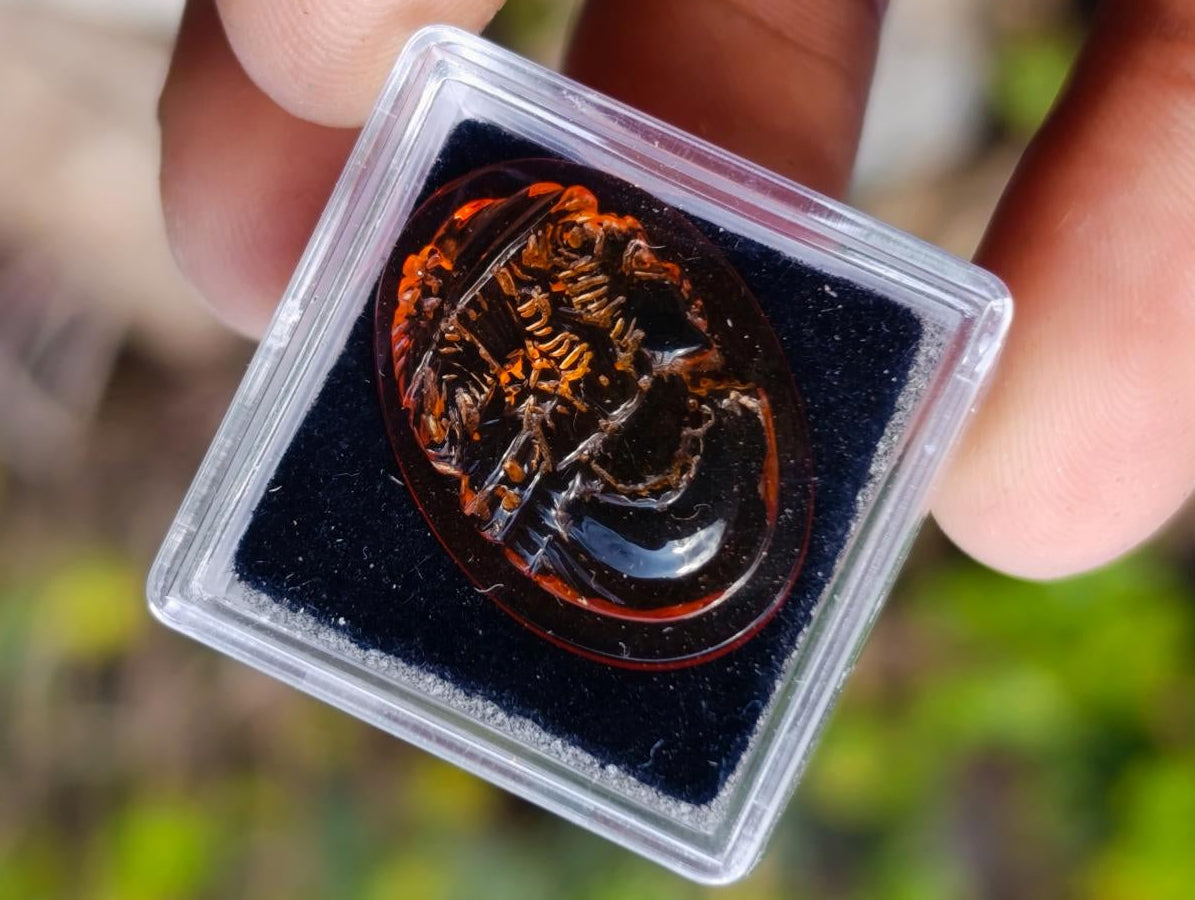 Hand Made Carved Princess Fossil Amber Vintage Cameo Jewellery Piece x 1 From Poland