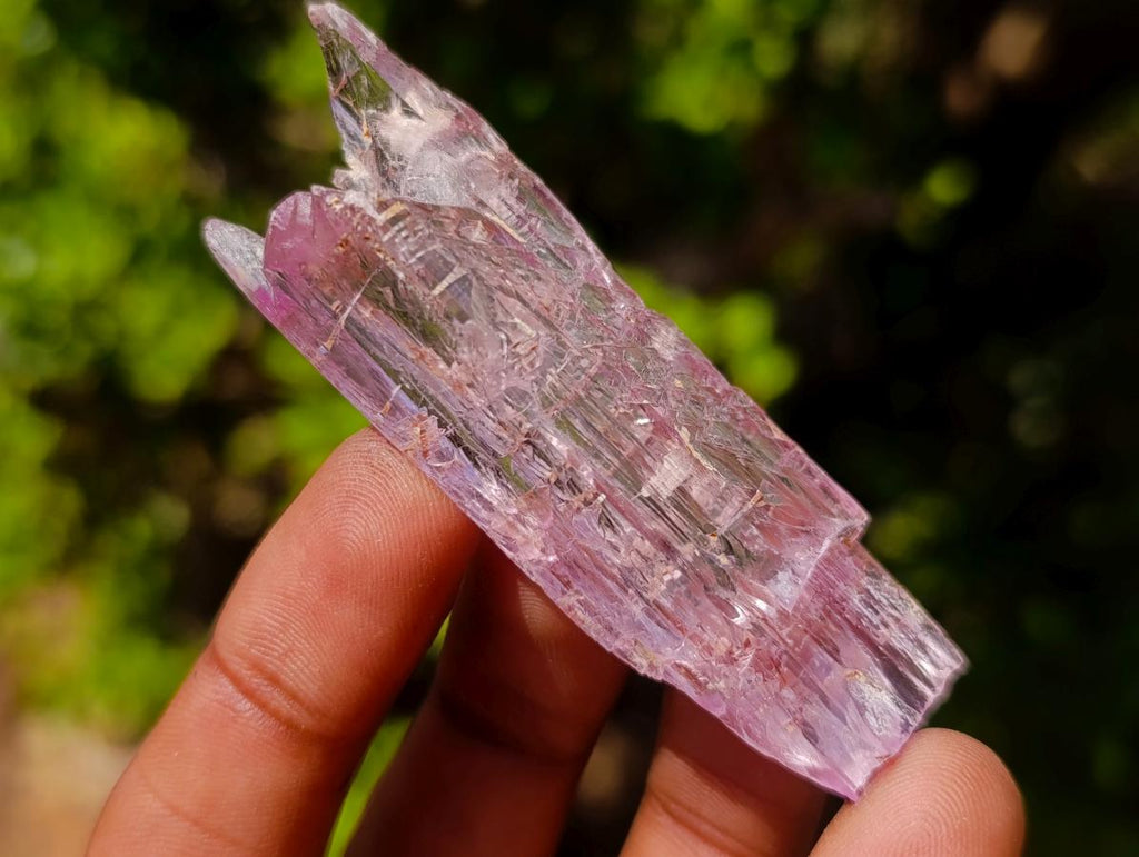 Natural Beautiful Pink Gemmy Kunzite Crystal x 1 From Afghanistan