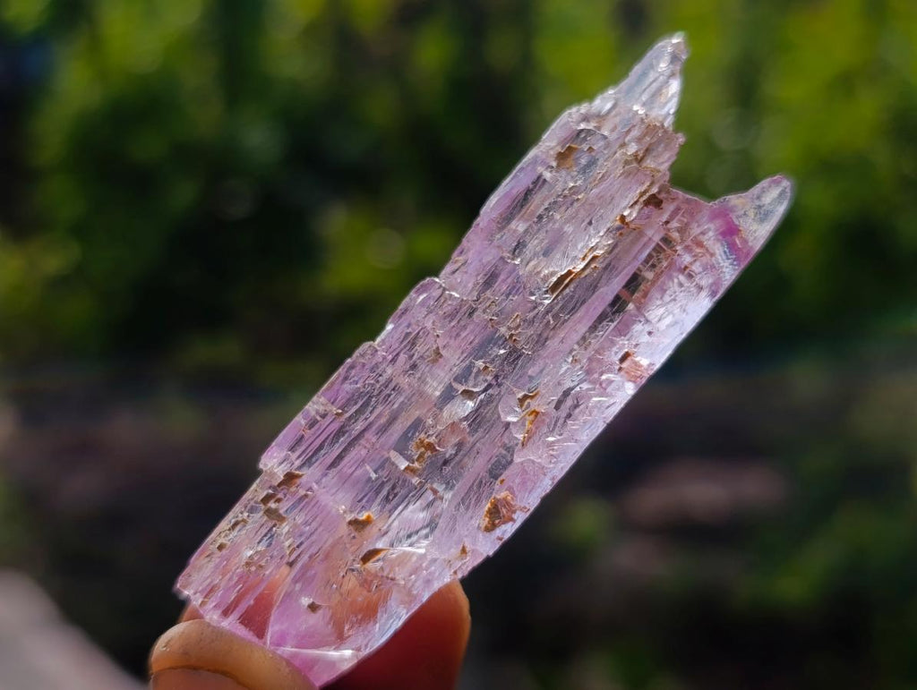 Natural Beautiful Pink Gemmy Kunzite Crystal x 1 From Afghanistan