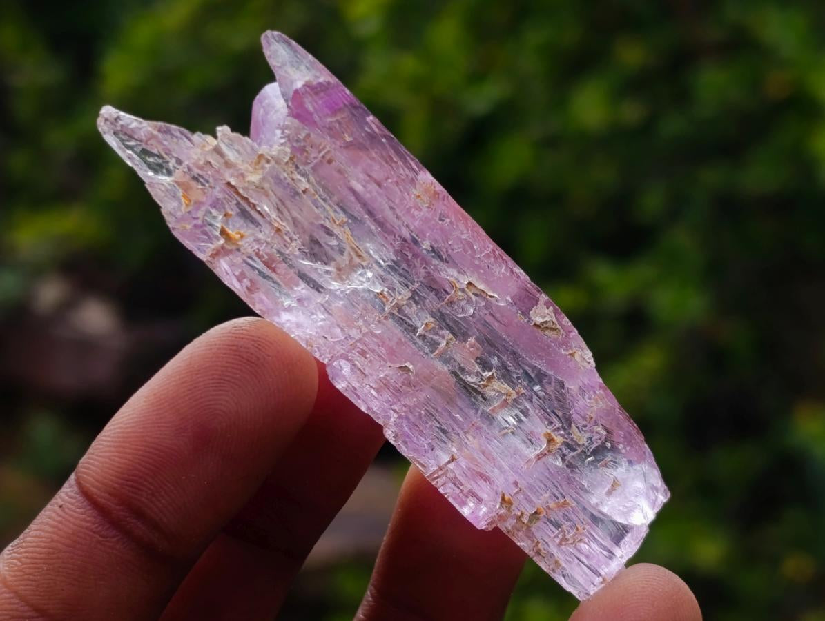 Natural Beautiful Pink Gemmy Kunzite Crystal x 1 From Afghanistan