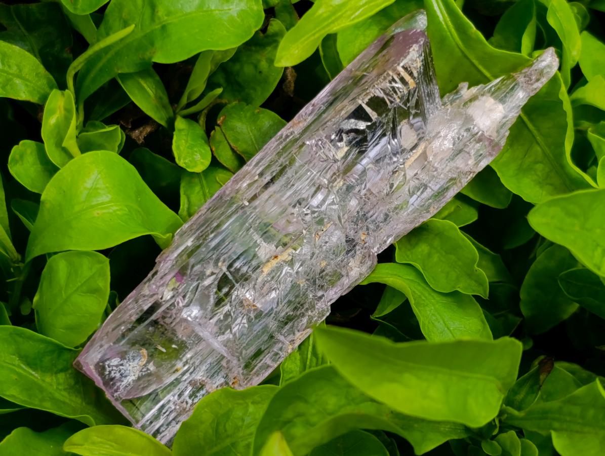 Natural Beautiful Pink Gemmy Kunzite Crystal x 1 From Afghanistan