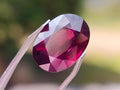 Polished 9 Carat Raspberry Red Rhodolite Garnet Faceted Stone x 1 From Tanga, Tanzania
