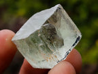 Natural 300 Carat Pair of Clear Triphane Rough Faceting Crystals x 1 From Afghanistan
