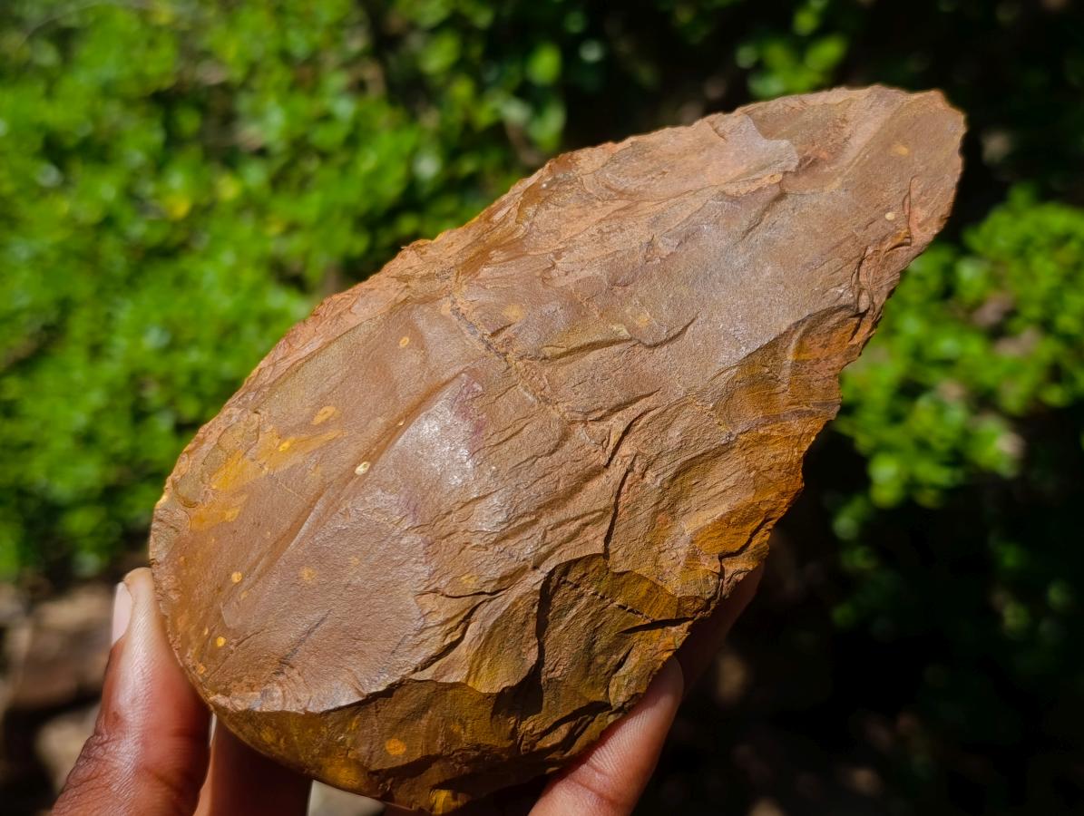 Hand Made Acheulean Artefact of a Early Stone Age Bifacial Ironstone Hand Axe x 1 From Northern Cape, South Africa