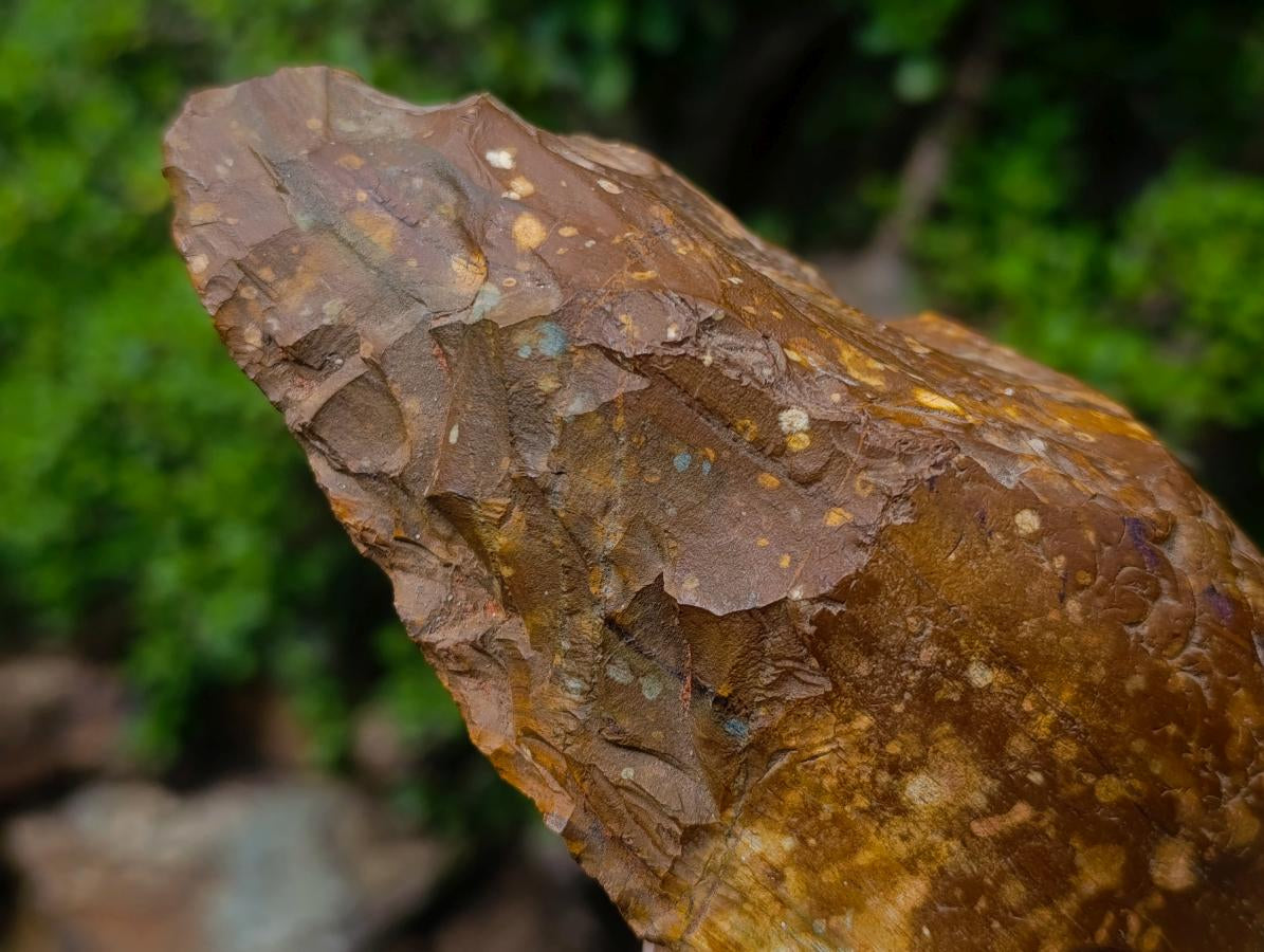 Hand Made Acheulean Artefact of a Early Stone Age Bifacial Ironstone Hand Axe x 1 From Northern Cape, South Africa