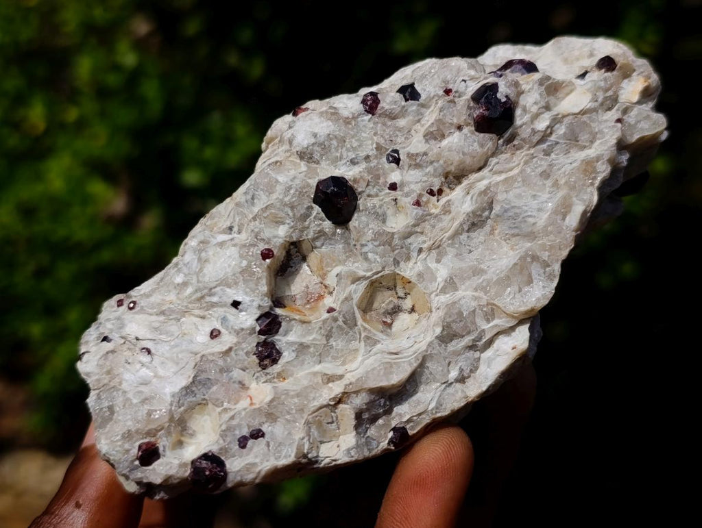 Natural Pyrope Garnet Rhombic Dodecahedron Crystals in White Feldspar Quartz Schist x 1 From Karibib, Namibia