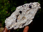 Natural Pyrope Garnet Rhombic Dodecahedron Crystals in White Feldspar Quartz Schist x 1 From Karibib, Namibia