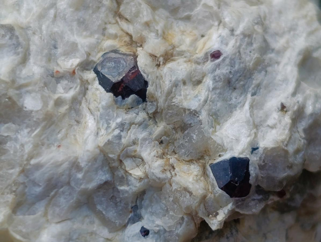 Natural Pyrope Garnet Rhombic Dodecahedron Crystals in White Feldspar Quartz Schist x 1 From Karibib, Namibia