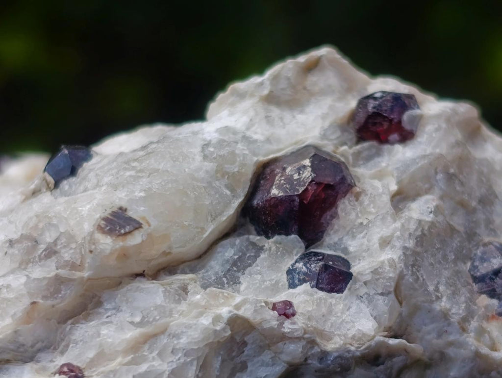 Natural Pyrope Garnet Rhombic Dodecahedron Crystals in White Feldspar Quartz Schist x 1 From Karibib, Namibia