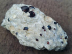 Natural Pyrope Garnet Rhombic Dodecahedron Crystals in White Feldspar Quartz Schist x 1 From Karibib, Namibia