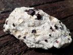 Natural Pyrope Garnet Rhombic Dodecahedron Crystals in White Feldspar Quartz Schist x 1 From Karibib, Namibia