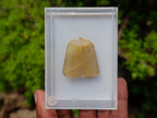 Hand Made Golden Rutilated Quartz in 9 ct Gold Pendant x 1 From Madagascar