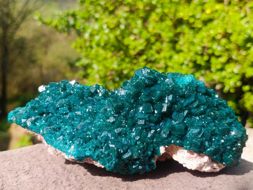 Natural Superb Museum Quality Tantara Mine Dioptase Specimen x 1 From Tantara Mine, Congo