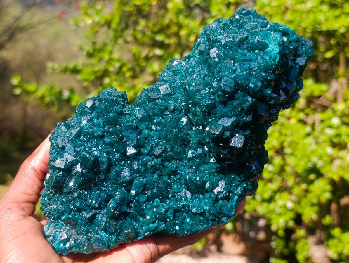 Natural Superb Museum Quality Tantara Mine Dioptase Specimen x 1 From Tantara Mine, Congo