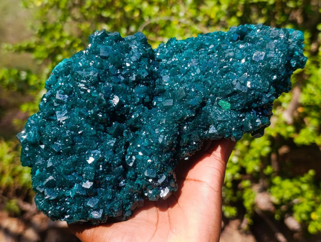 Natural Superb Museum Quality Tantara Mine Dioptase Specimen x 1 From Tantara Mine, Congo