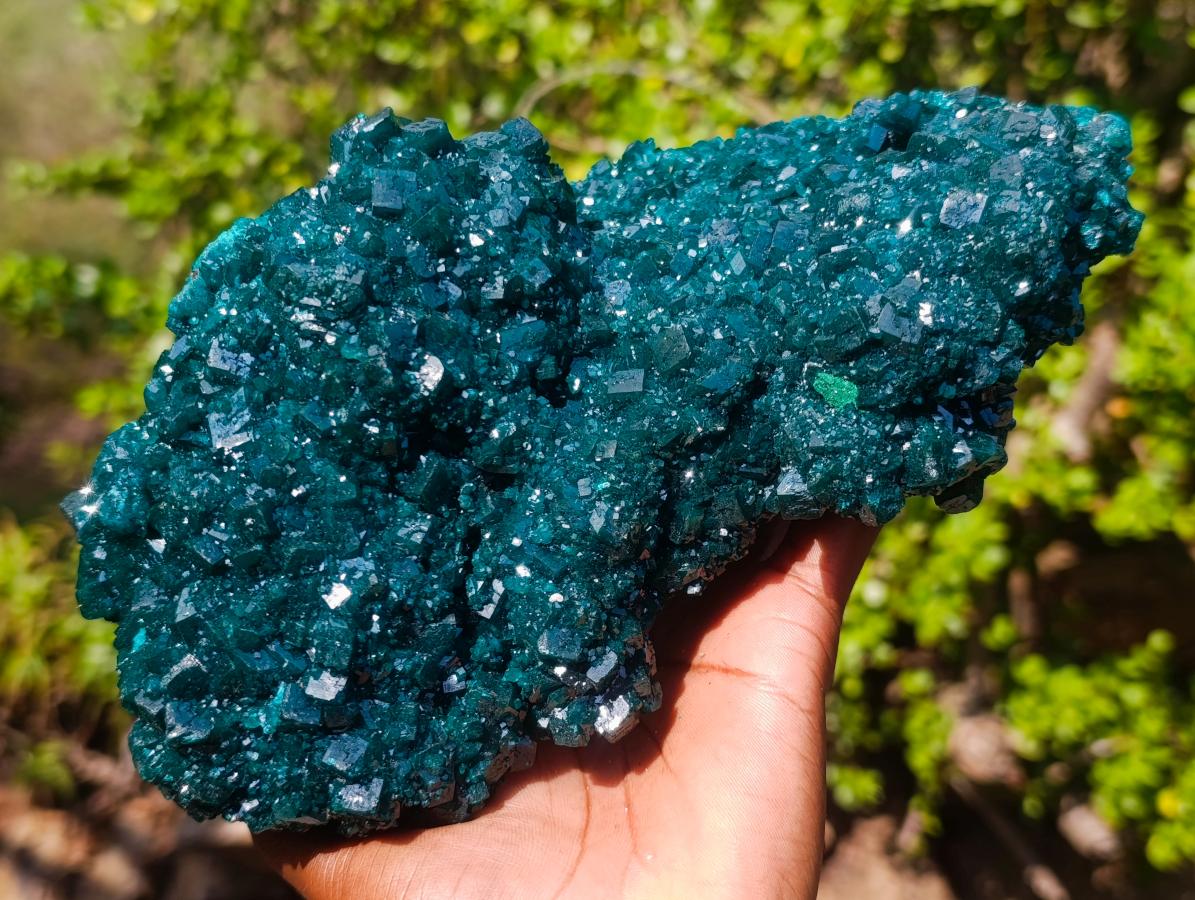 Natural Superb Museum Quality Tantara Mine Dioptase Specimen x 1 From Tantara Mine, Congo